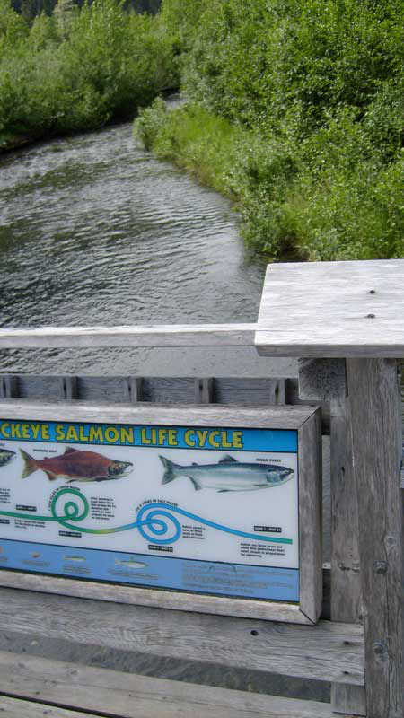 Poetic Thoughts - Alyeska Resort of Girdwood, Alaska - by C.W. Pruitt II