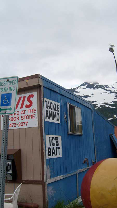 Poetic Thoughts - Alyeska Resort of Girdwood, Alaska - by C.W. Pruitt II