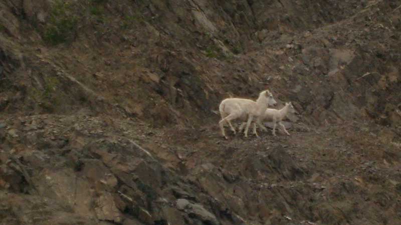 Poetic Thoughts - Alyeska Resort of Girdwood, Alaska - by C.W. Pruitt II