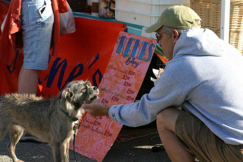 a doggie gets some love in front of Rene's Bakery tent