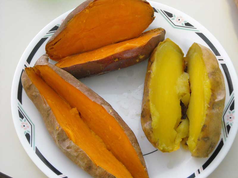 Recipes: Then & Now - Sweet Potatoes - by Douglas Carpenter 