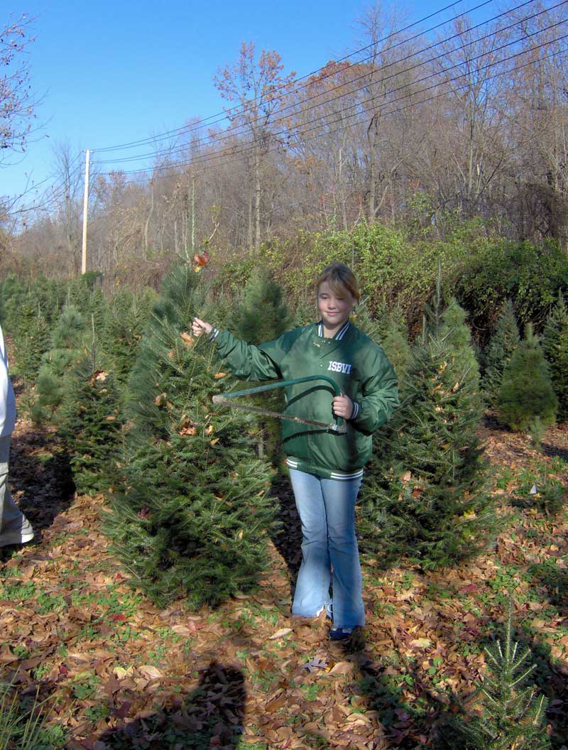 ISBVI Christmas tree & Poinsettia annual sale - By Mario Morone