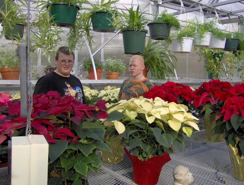 ISBVI Christmas tree & Poinsettia annual sale - By Mario Morone