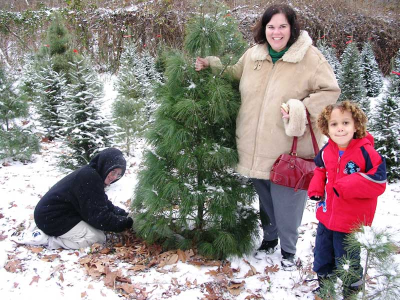 Jimmy Cole helps trim a Christmas tree for Martha LaBounty & her child.