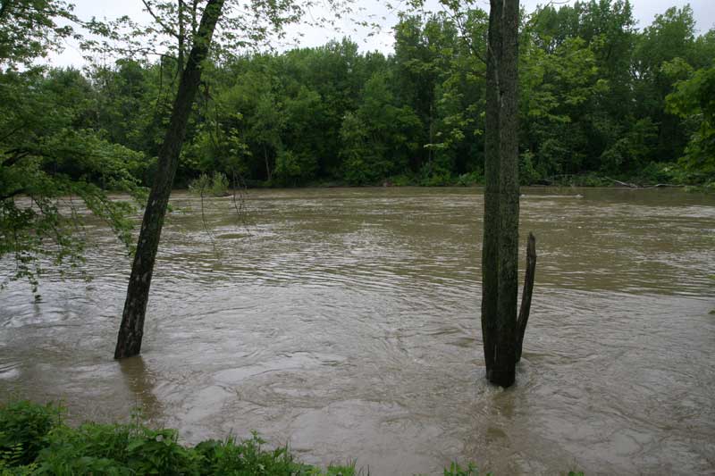 The White River was high after the heavy rains