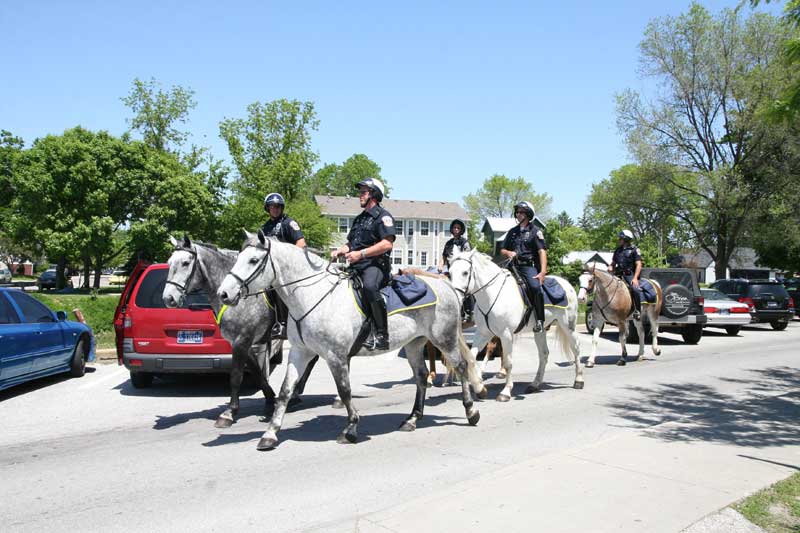 Random Rippling - IMPD Horses