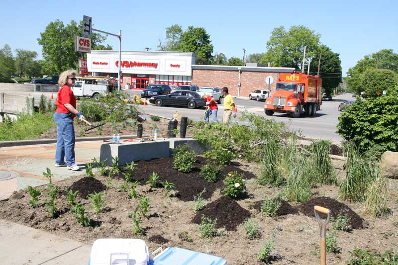 Random Rippling - Lilly Day of Service paints town