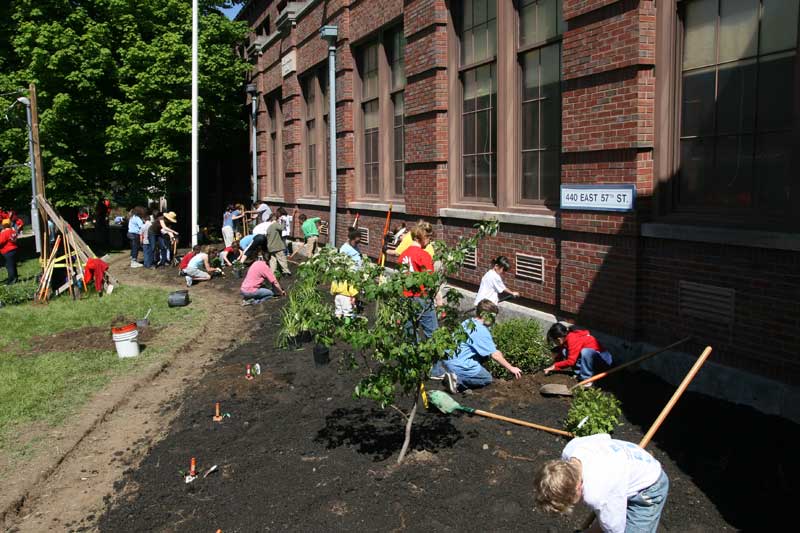 Random Rippling - Lilly Day of Service paints town