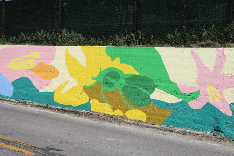 Random Rippling - Lilly Day of Service paints town