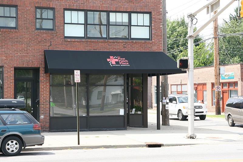 Random Rippling - Paw Patch Place awning
