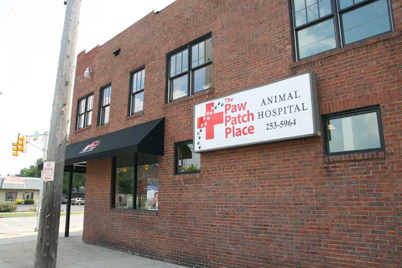 Paw Patch Place in the Uptown Center