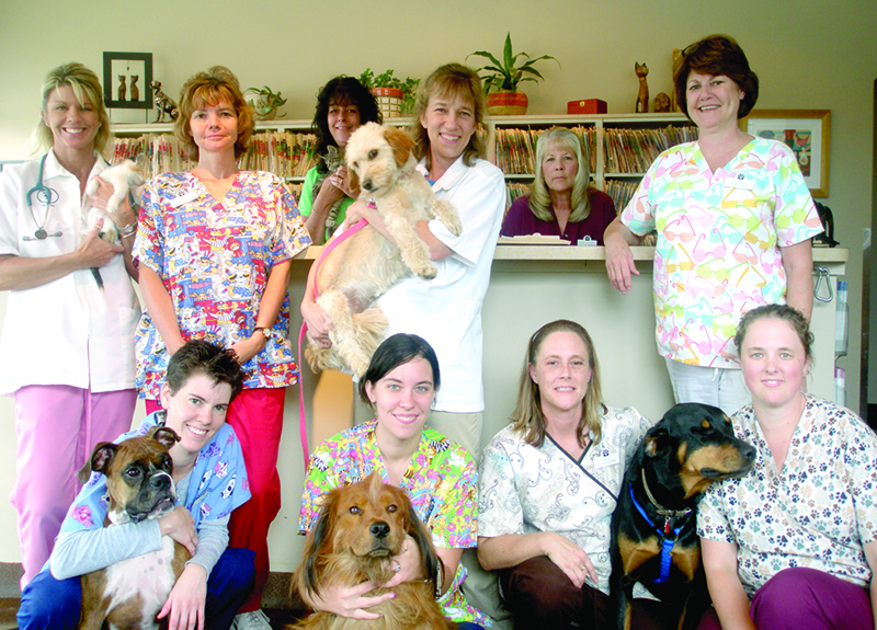 Back row, left to right: Lisa-receptionist, Vickie-practice manager 2nd row: Dr. Zacharias, Kyle-receptionist, Dr. Dowden (Holi), Sheryl-receptionist front row: vet assistants: Jolene (Toby), Jen (Artie), Kelly (Bonita), Rachel-massage therapist