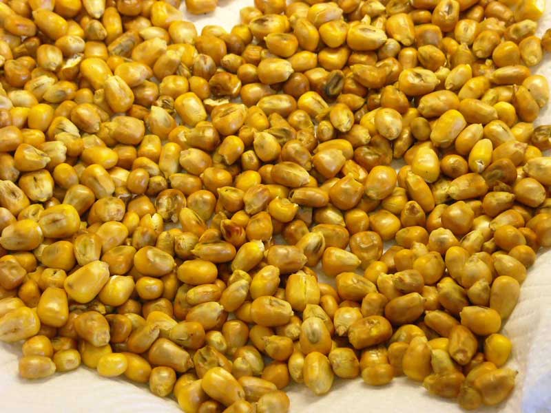 Recipes: Then & Now - Parched Corn - by Douglas Carpenter