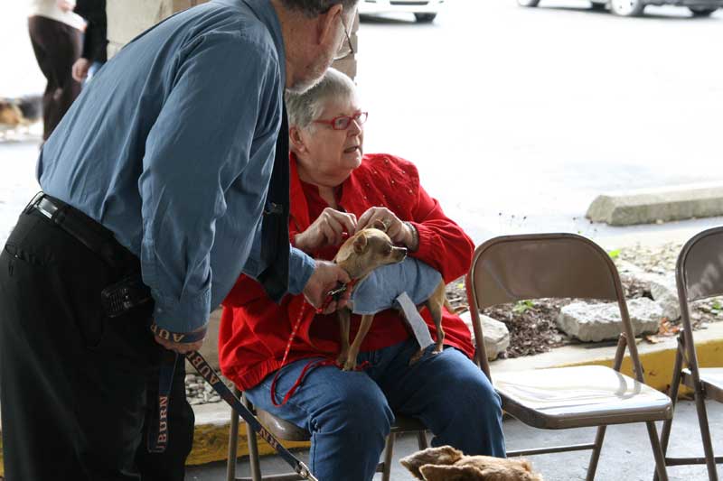 Random Rippling - annual pet blessing 