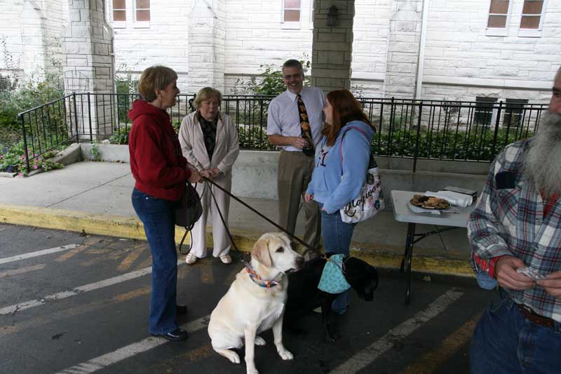 Random Rippling - annual pet blessing 