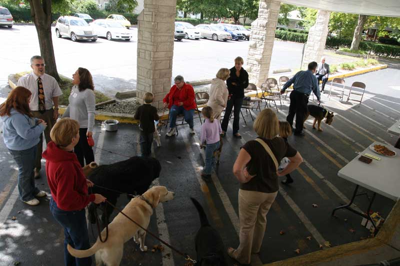 Random Rippling - annual pet blessing 