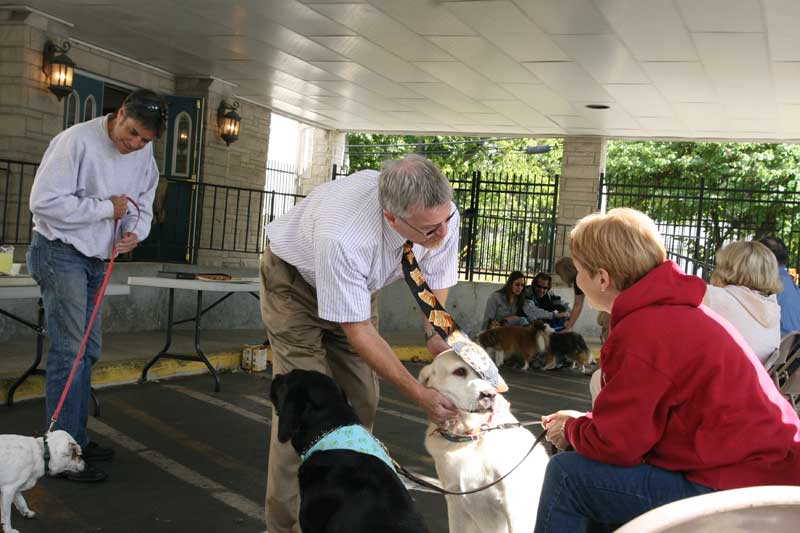 Random Rippling - annual pet blessing 