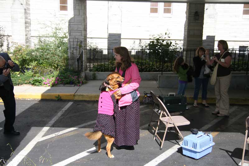 Random Rippling - annual pet blessing 