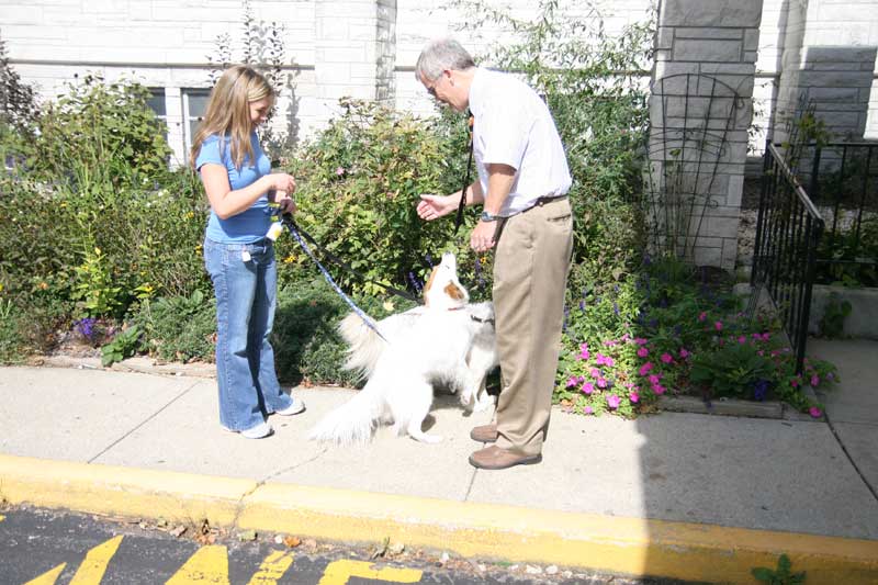 Random Rippling - annual pet blessing 