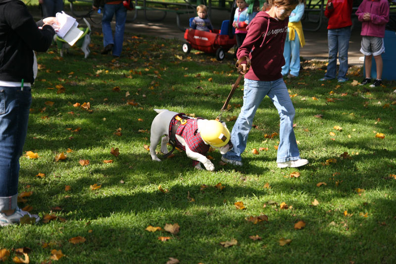 Random Rippling - Paws in the Park 