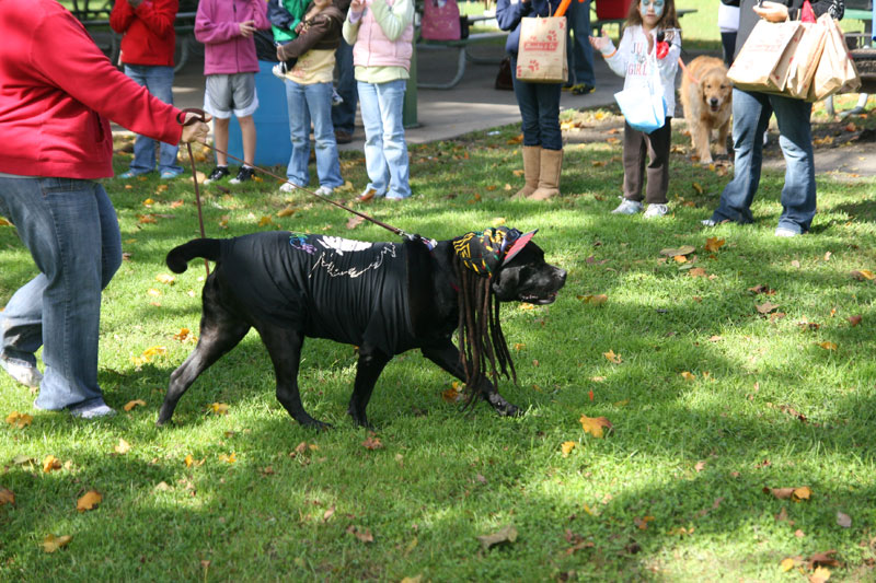 Random Rippling - Paws in the Park 