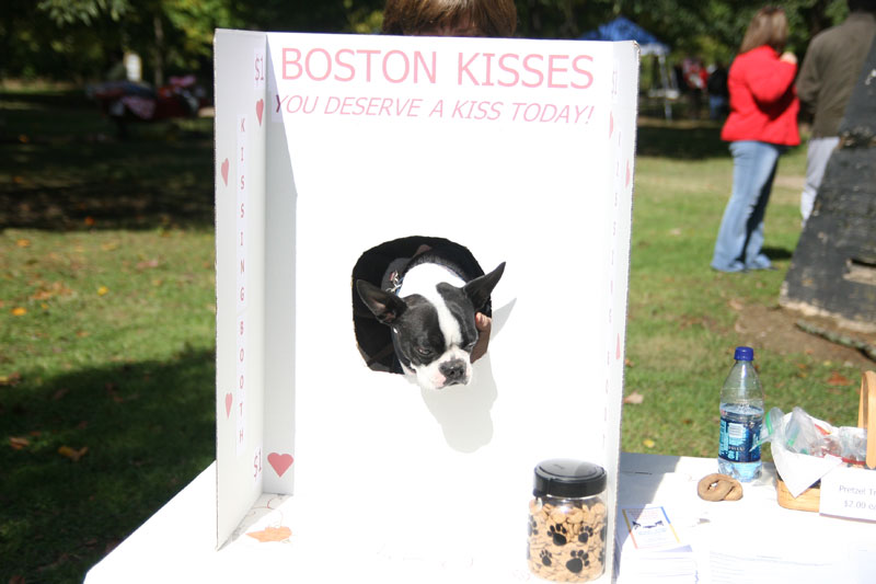 The Kissing Booth at Paws in the Park!