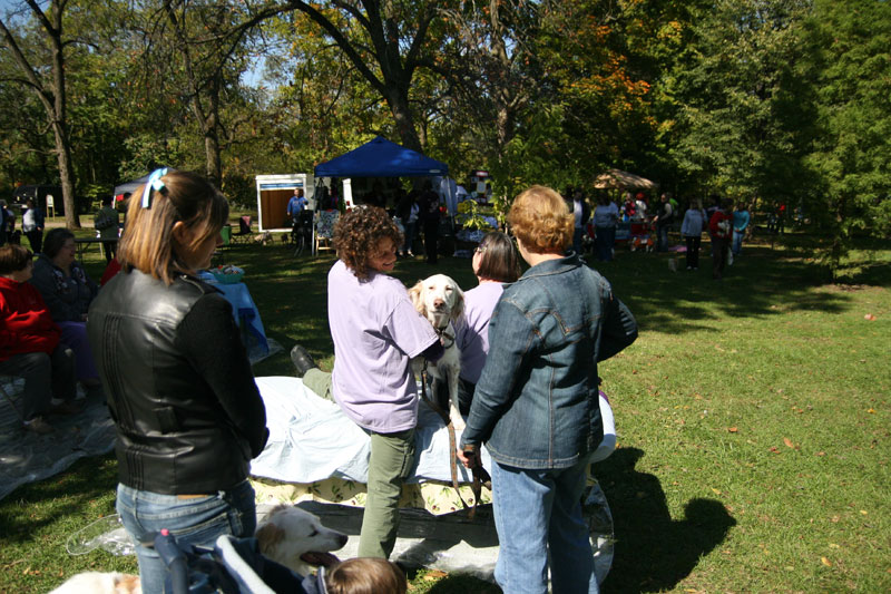 Random Rippling - Paws in the Park 