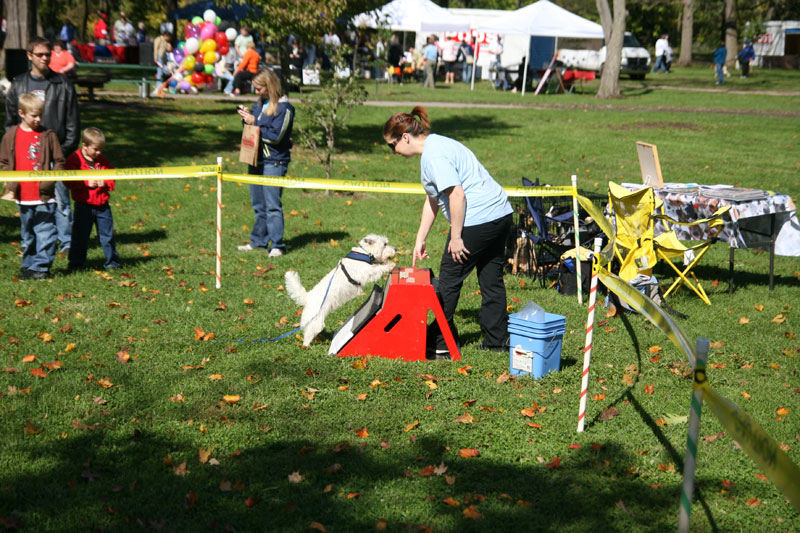 Random Rippling - Paws in the Park 