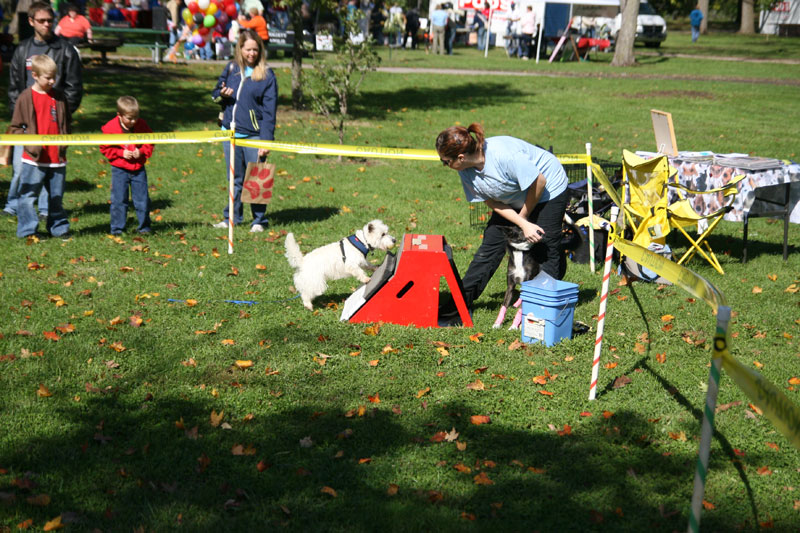 Random Rippling - Paws in the Park 