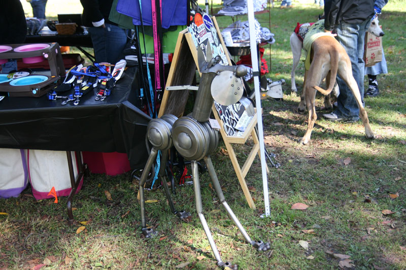 Random Rippling - Paws in the Park 