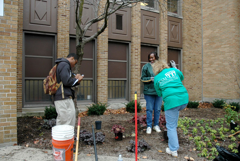 Random Rippling - BRHS gets new trees on campus 