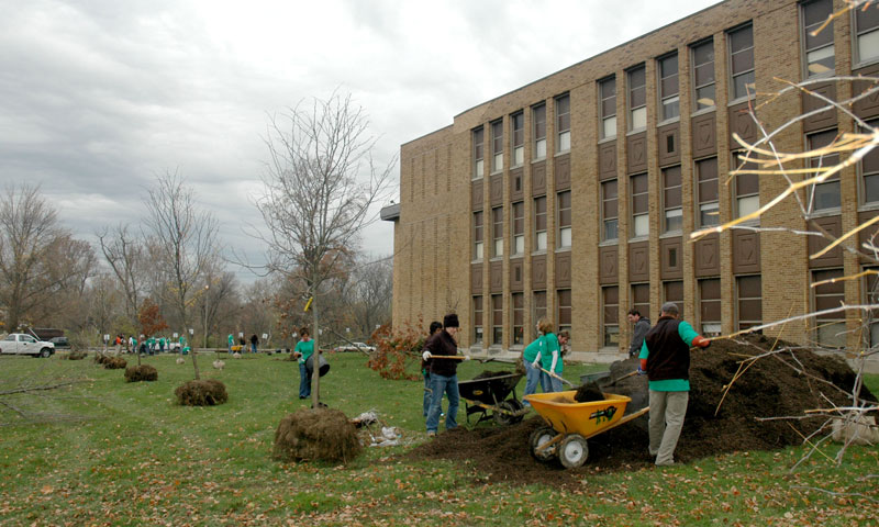 Random Rippling - BRHS gets new trees on campus 