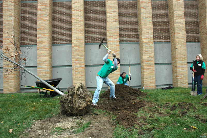 Random Rippling - BRHS gets new trees on campus 