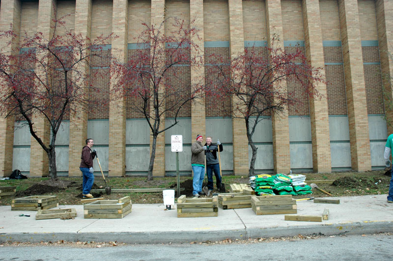 Random Rippling - BRHS gets new trees on campus 