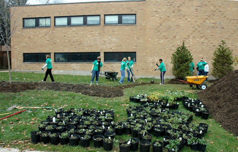 Random Rippling - BRHS gets new trees on campus 