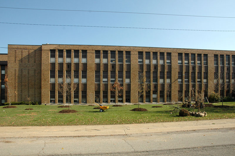 Random Rippling - BRHS gets new trees on campus 