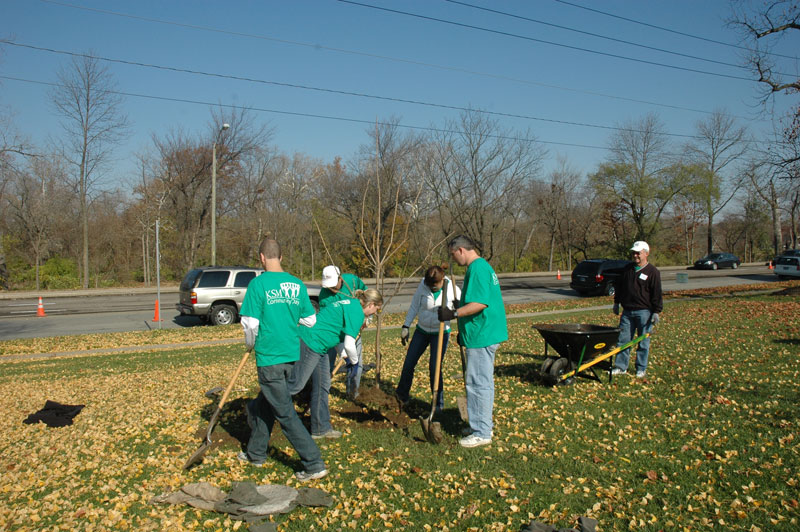 Random Rippling - BRHS gets new trees on campus 