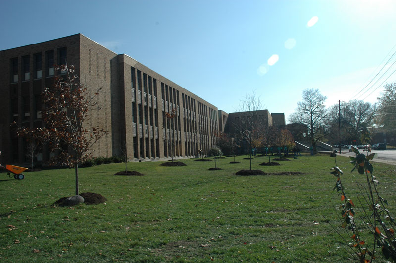 Random Rippling - BRHS gets new trees on campus 