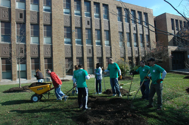 Random Rippling - BRHS gets new trees on campus 