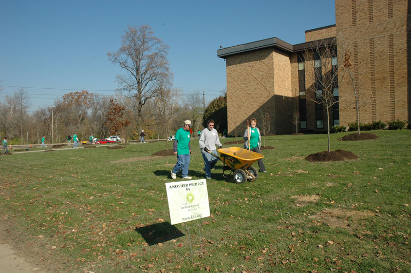 Random Rippling - BRHS gets new trees on campus 