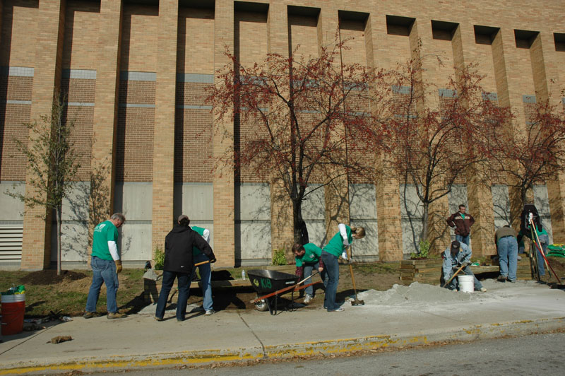 Random Rippling - BRHS gets new trees on campus 