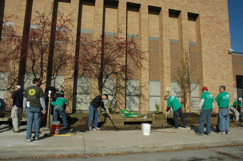 Random Rippling - BRHS gets new trees on campus 