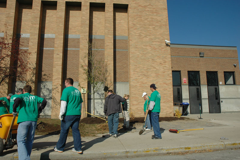 Random Rippling - BRHS gets new trees on campus 