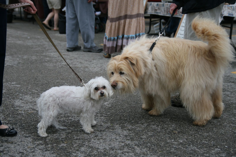 Farmers Market opening day May 1, 2010