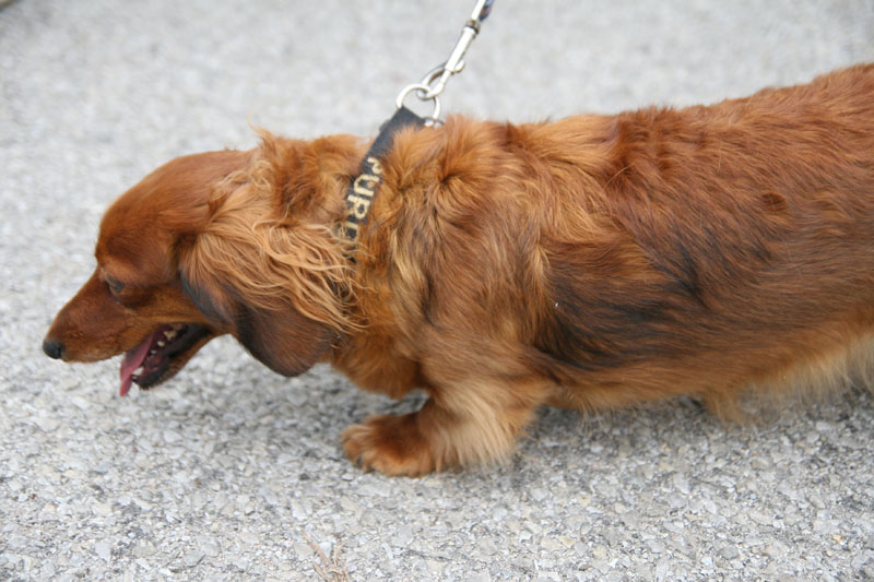 Farmers Market opening day May 22, 2010