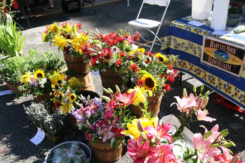 Farmers Market June 19, 2010