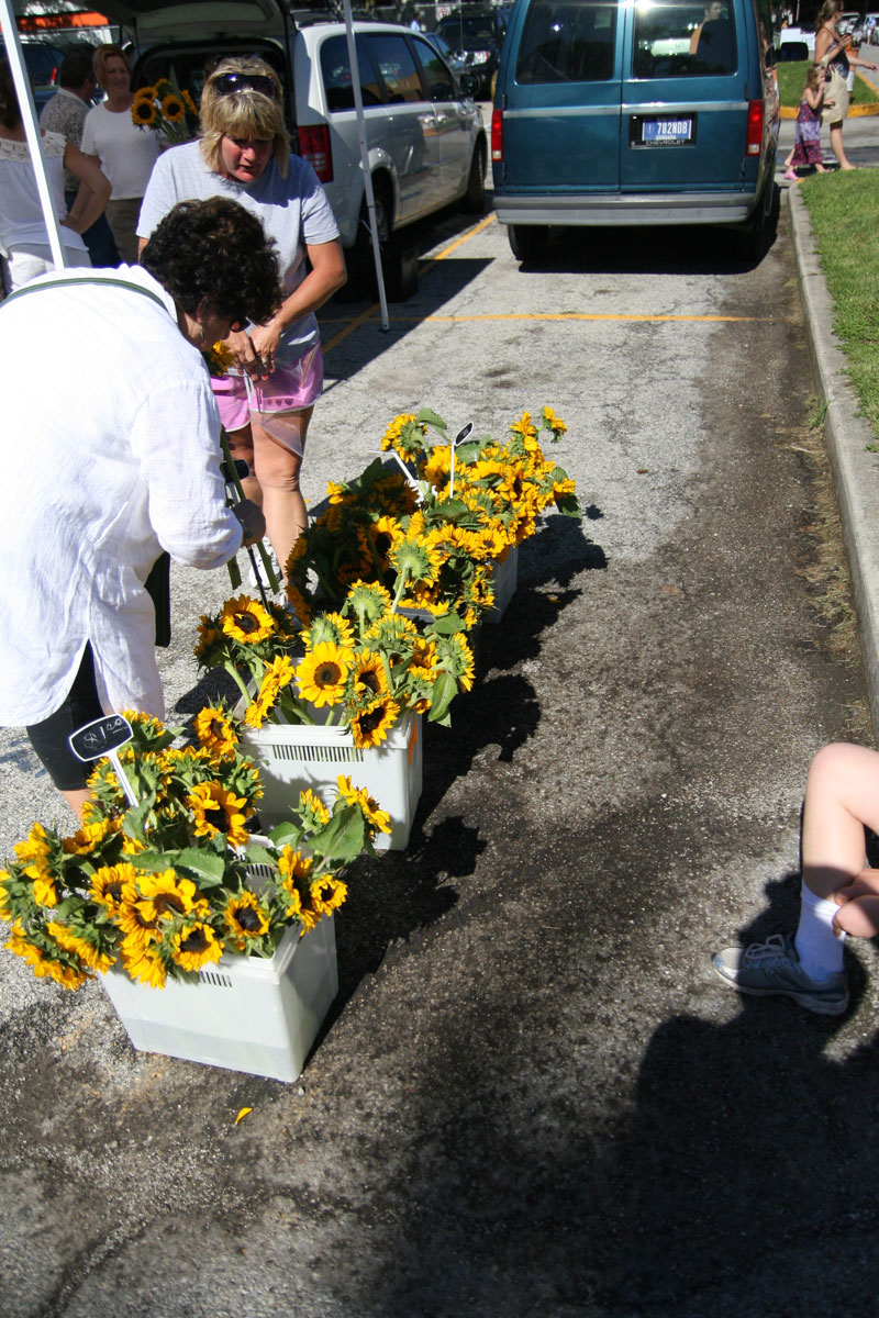 Farmers Market June 19, 2010