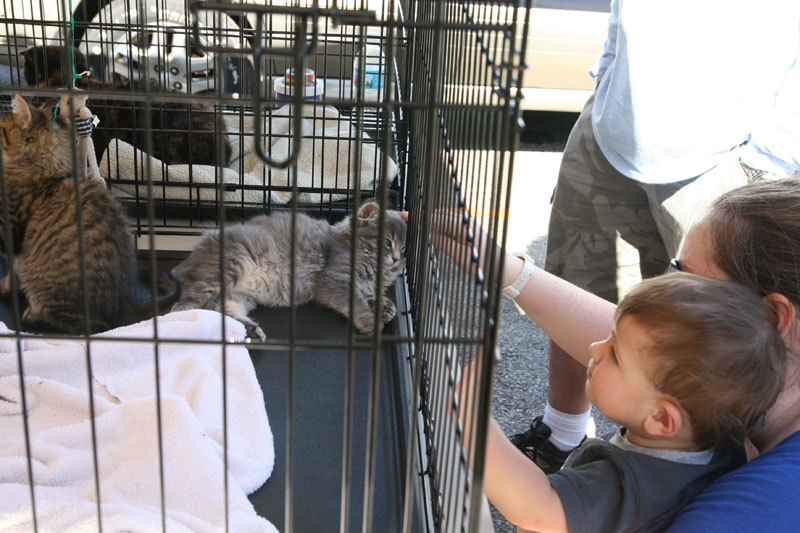 Farmers Market June 19, 2010