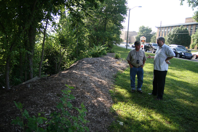 DNR inspects riverbank after honeysuckle removal - by Thomas P. Healy