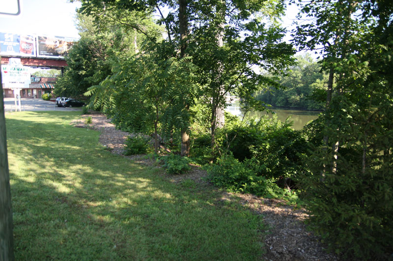 DNR inspects riverbank after honeysuckle removal - by Thomas P. Healy